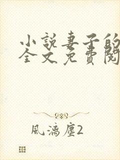 小说妻子的秘密全文免费阅读封面