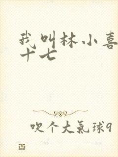 我叫林小喜今年十七