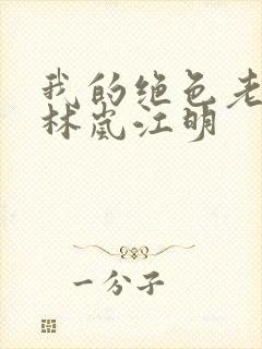 我的绝色老板娘林岚江明