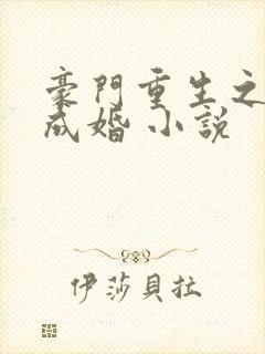 豪门重生之暖爱成婚 小说