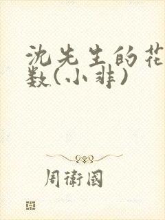 沈先生的花式调数(小非)