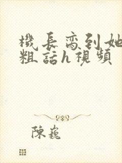 机长脔到她哭h粗话h视频