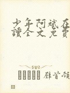 少年阿斌在线阅读全文免费阅读最新小说封面
