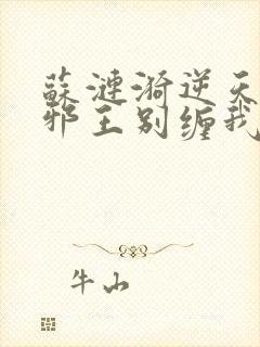 苏涟漪逆天狂妃邪王别缠我