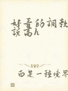 好看的调教文小说高h