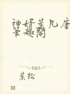 神婿叶凡唐若雪笔趣阁