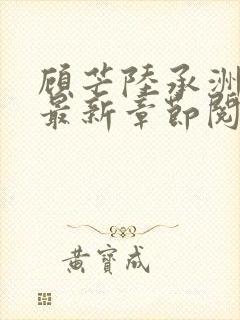 顾芒陆承洲小说最新章节阅读封面