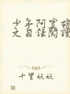 少年阿宾胡太全文目录阅读在线封面