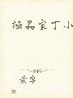 极品家丁小说
