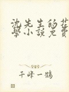 沈先生的花式教学小说免费封面