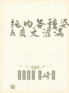 纯肉各种姿势高h爽文灌满封面