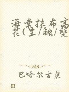海棠抹布高岭之花(生/触/双)