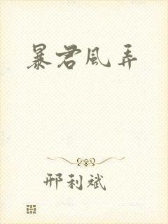 暴君风弄封面