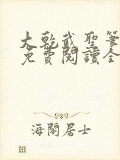 大乾武圣笔趣阁免费阅读全文无弹窗