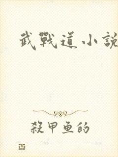 武战道小说