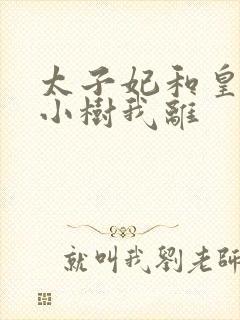 太子妃和皇上在小树我离封面