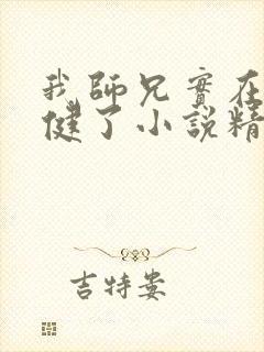 我师兄实在太稳健了小说精校版全集txt