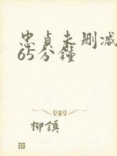 忠贞未删减版165分钟封面