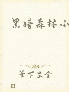 黑暗森林小说