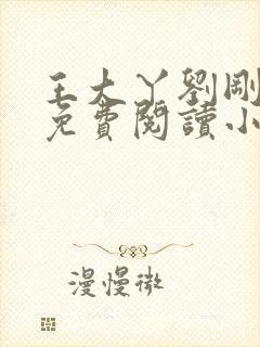 王大丫刘刚张瑶免费阅读小说