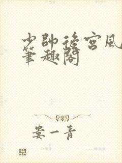少帅后宫风流传笔趣阁