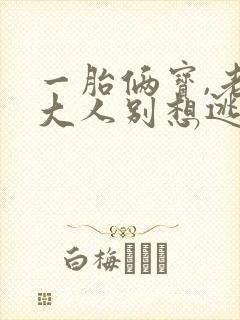 一胎俩宝,老婆大人别想逃最近章节