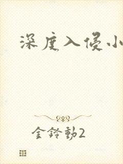 深度入侵小说