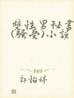 双性男秘书巨乳(骚受)小说封面