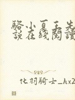 骆小夏王先生小说在线阅读