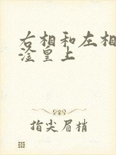 右相和左相一起淦皇上