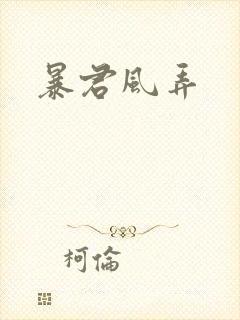 暴君风弄封面