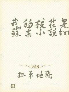 我的校花是福姬苏柔小说txt
