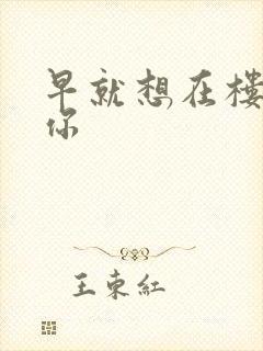 早就想在楼梯要你