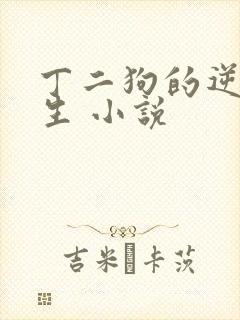 丁二狗的逆袭人生 小说