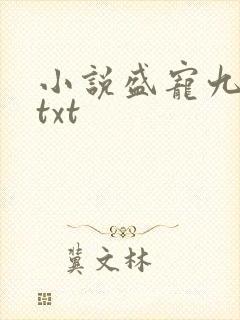 小说盛宠九皇妃txt