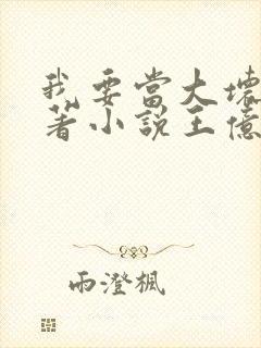 我要当大坏蛋原著小说王亿