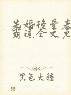 先婚后爱老公太霸道全文免费阅读全文