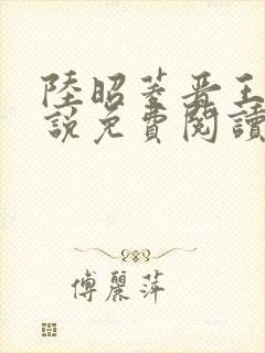 陆昭菱晋王的小说免费阅读封面