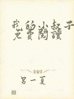 我的小叔子小说免费阅读
