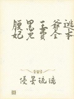 腹黑王爷逃跑王妃免费全本小说封面