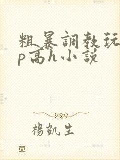 粗暴调教玩弄np高h小说
