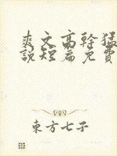爽文高干猛文小说短篇免费阅读