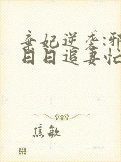 弃妃逆袭:邪王日日追妻忙txt下载封面