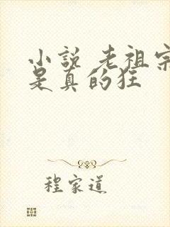 小说 老祖宗她是真的狂