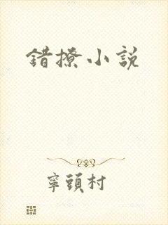 错撩小说封面
