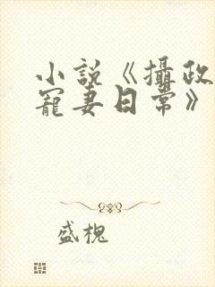 小说《摄政王的宠妻日常》