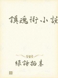镇魂街小说