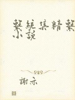 系统集精系统 小说
