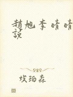 赵旭李晴晴的小说封面