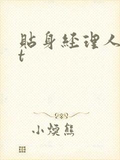 贴身经理人txt